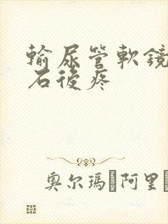 输尿管软镜取结石后疼