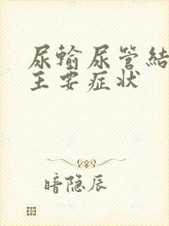 尿输尿管结石的主要症状