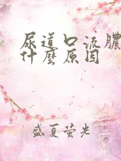 尿道口流脓脓是什么原因