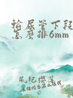 输尿管下段结石怎么排6mm