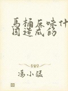 马桶反味什么原因造成的