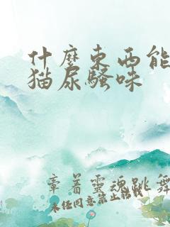 什么东西能去除猫尿骚味