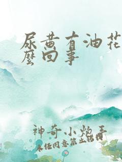 尿黄有油花是怎么回事