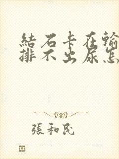 结石卡在输尿管排不出尿怎么办