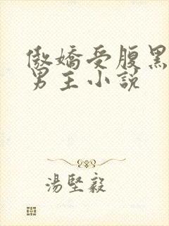 傲娇受腹黑攻双男主小说