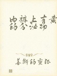 内裤上有黄水样的分泌物