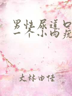 男性尿道口长了一个小肉疣