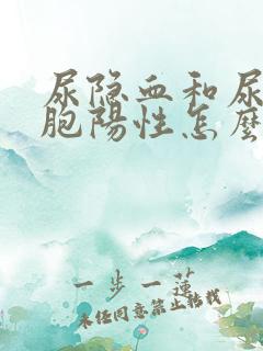 尿隐血和尿白细胞阳性怎么回事