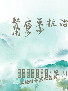 肾病单抗治疗费用多少