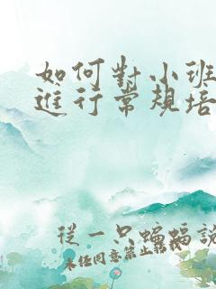 如何对小班幼儿进行常规培养