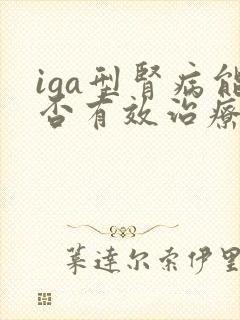 iga型肾病能否有效治疗