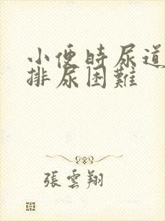 小便时尿道刺痛排尿困难