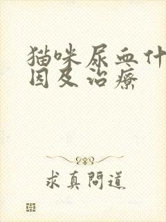 猫咪尿血什么原因及治疗