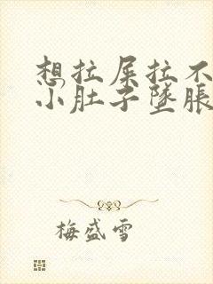 想拉屎拉不出来小肚子坠胀怎么办