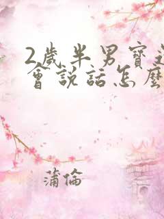 2岁半男宝还不会说话怎么办