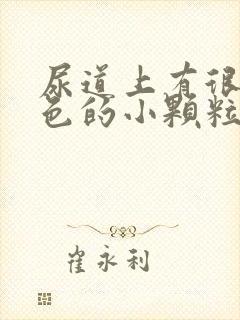 尿道上有很多红色的小颗粒