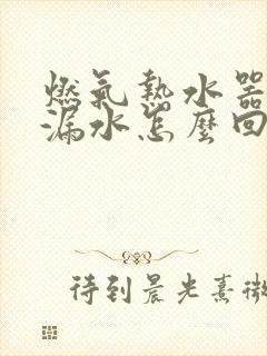 燃气热水器下面漏水怎么回事