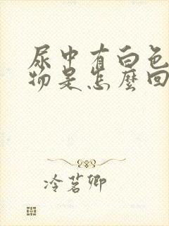 尿中有白色分泌物是怎么回事