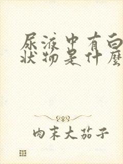 尿液中有白色絮状物是什么原因