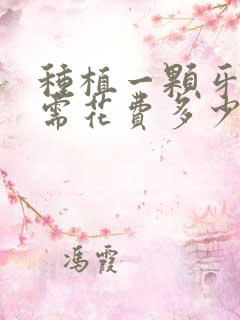 种植一颗牙一般需花费多少钱