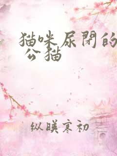 猫咪尿闭的症状 公猫