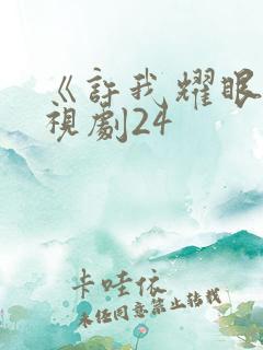 《许我耀眼》电视剧24