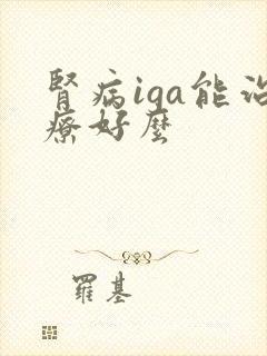 肾病iga能治疗好么