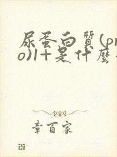 尿蛋白质(pro)1+是什么意思