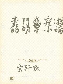 豪门盛宠:总裁的明星小娇妻小说