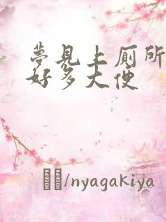 梦见上厕所拉了好多大便