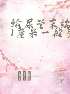 输尿管末端结石1厘米一般多久排出