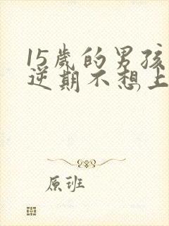 15岁的男孩叛逆期不想上学