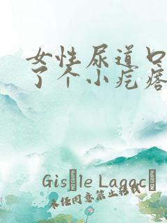 女性尿道口处长了个小疙瘩