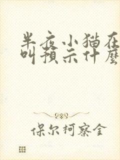 半夜小猫在门口叫预示什么