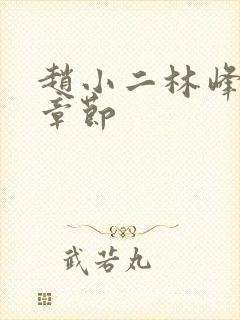 赵小二林峰最新章节