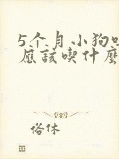 5个月小狗吐了应该吃什么药