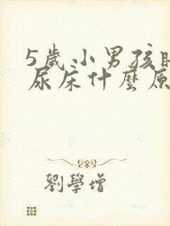 5岁小男孩睡觉尿床什么原因