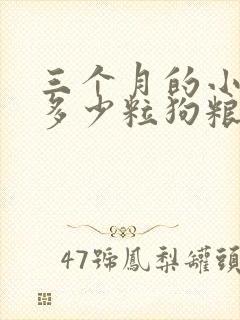 三个月的小狗喂多少粒狗粮