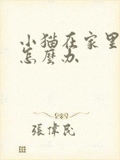 小猫在家里乱尿怎么办