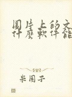 图片上的文字用什么软件能给改了呢