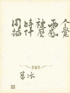 同时被两个男人插什么感觉