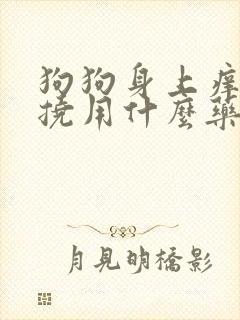 狗狗身上痒痒总挠用什么药比较好