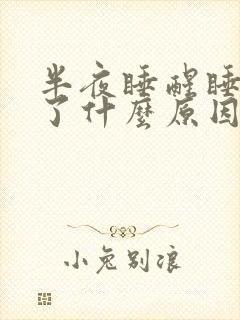 半夜睡醒睡不着了什么原因