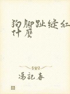 狗脚趾缝红肿为什么