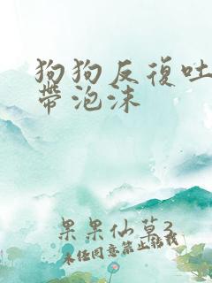 狗狗反复吐黄水带泡沫