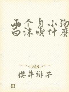 两个月小狗狗吐白沫吃什么药