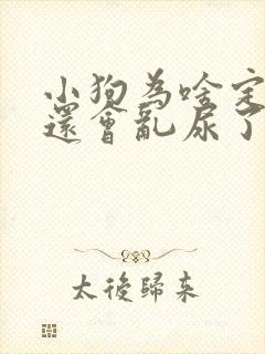 小狗为啥定点后还会乱尿了