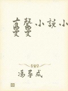 有声小说小仙儿曼曼