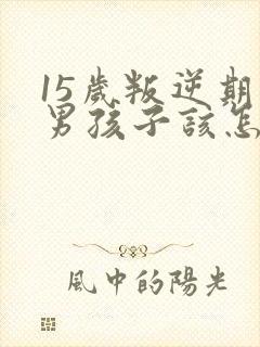 15岁叛逆期的男孩子该怎样去沟通教育