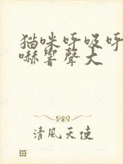 猫咪呼吸呼哧呼哧响声大